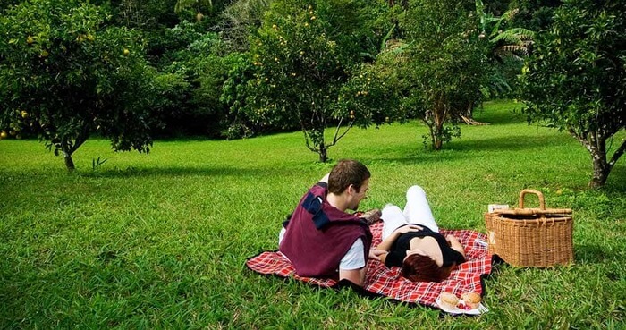 pareja en el bosque realizando un picnic